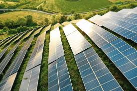 <p><span><em>Solar panels _______ energy from the sun.</em></span></p>