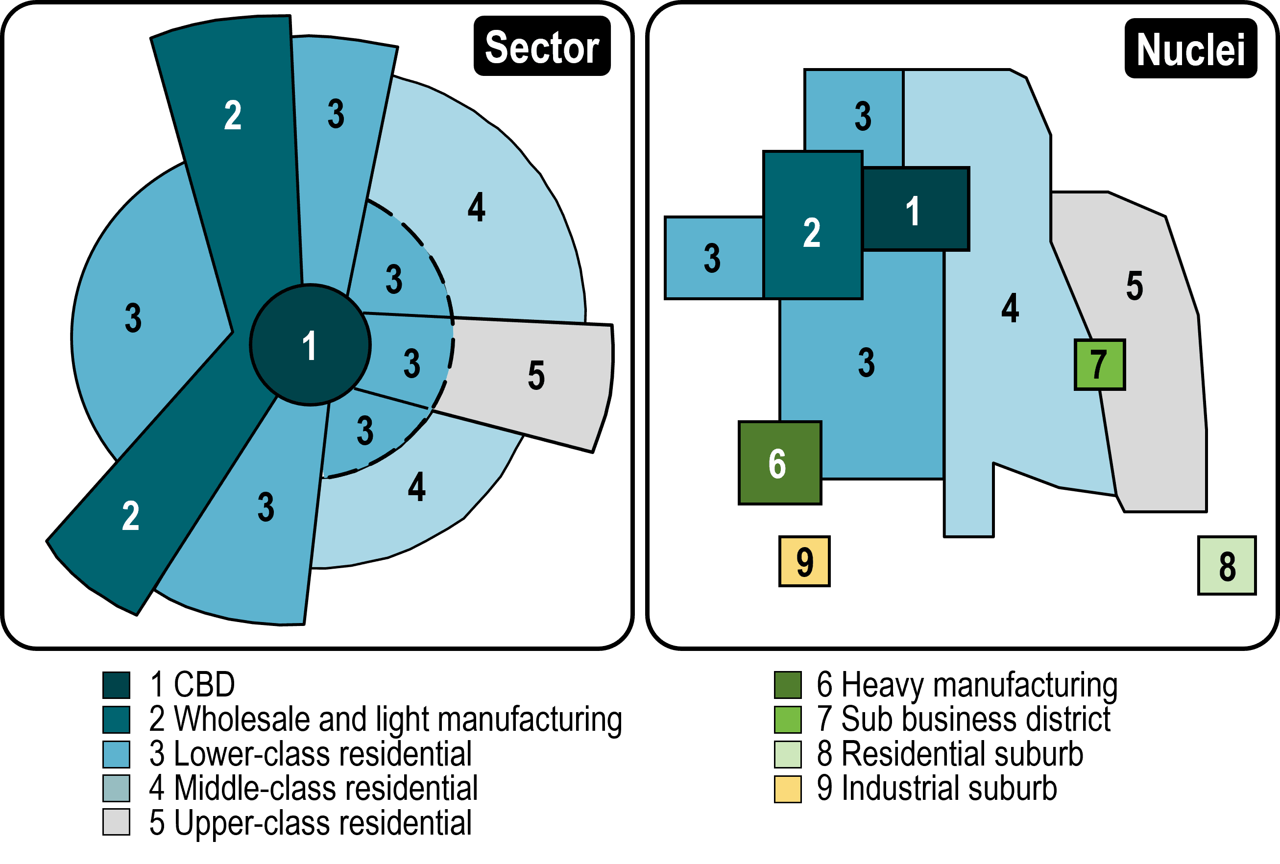 <p>What is the multiple nuclei model?</p>