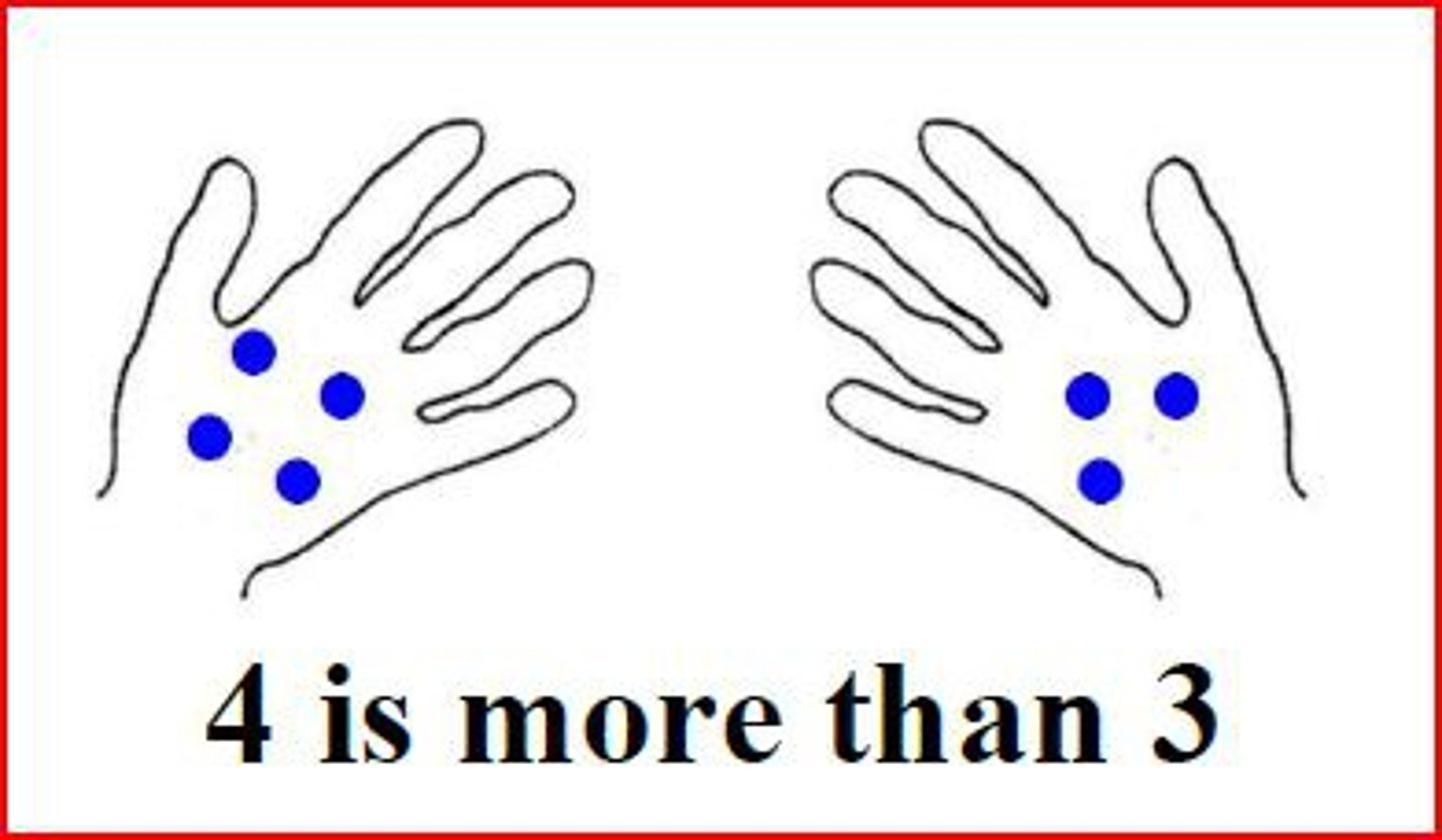 <p>To decide if one number is greater than, less than, or equal to.</p>