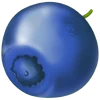 <p>Blueberries</p>