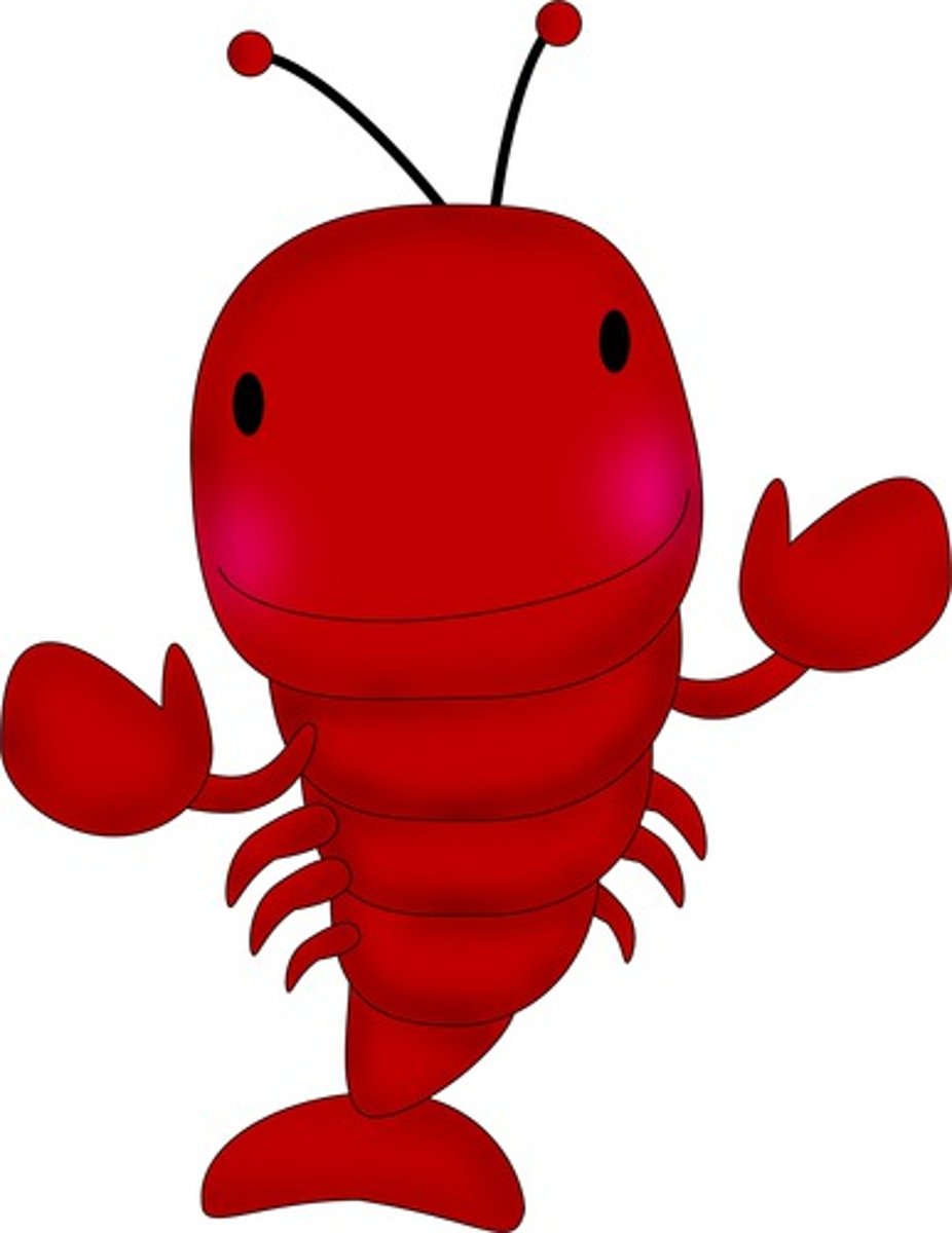 <p>Lobster</p>