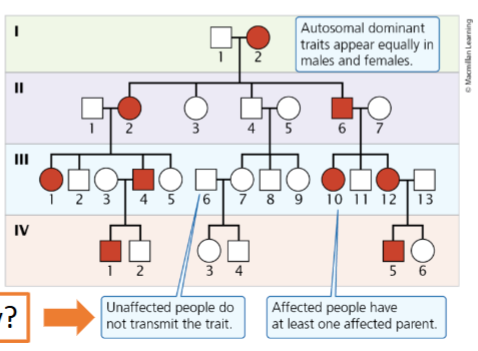 <p>Appear with equal frequency in males and females and tend to be present in all generations</p>