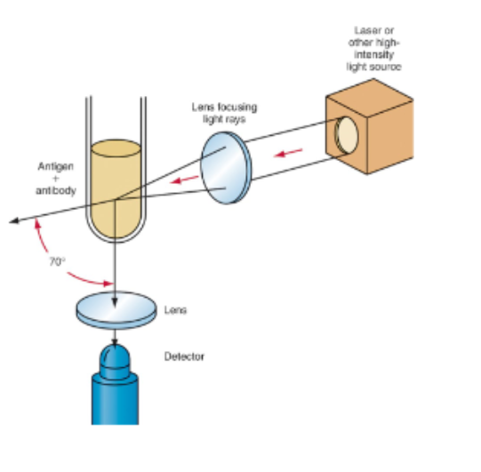 <p>Scattered light towards a detector not the direct path of transmitted light</p><p>-used to assay larger particles at lower concentration</p>