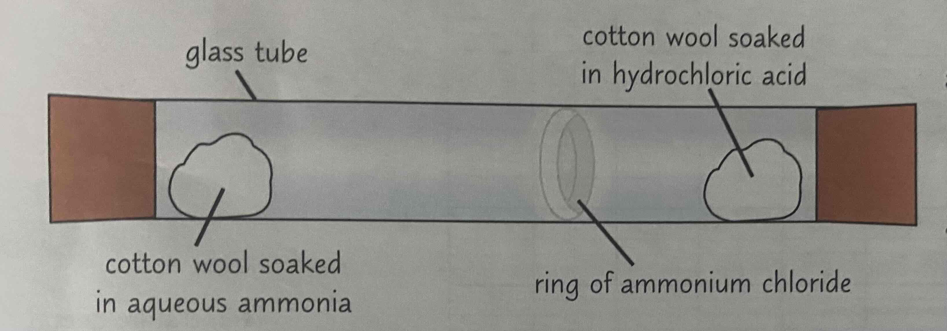 <p>Aqueous ammonia gives off ammonia gas. Hydrochloric acid gives off hydrogen chloride gas.</p><p>Therefore, you soak one cotton wool with aqueous ammonia and pop it on one end of a glass tube (put a bung on the end too, to contain the ammonia that is given off). And you soak another cotton wool with hydrochloric acid, and pop that in the other end of the glass tube (again, put a bung on).</p><p>The ammonia gas will diffuse to the other end of the tube, in the direction of the HCl cotton wool. The hydrogen chloride gas will diffuse to the other end of the tube, in the direction of the ammonia cotton wool.</p><p>This will result in a ring of ammonium chloride near the middle of the tube.</p><p>(Note that it’s not the exact middle of the tube, because ammonia particles are lighter so they diffuse faster, meaning the ring will be closer to the HCl side)</p><p>Look at the image attached.</p>