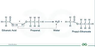 <p>-alcohol + carboxylic acid = (conc acid catalyst + heat) = ester + water</p><p>-OH from carboxylic acid and H from alcohol make water</p><p>-pentyl ethanoate</p>