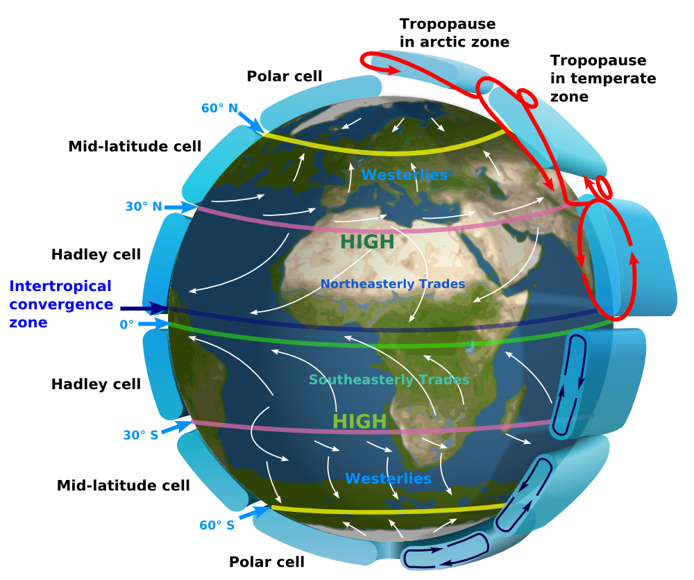 <p>area on the earth that is a lowpressure belt; tradewinds converge and atmsopheric upwelling occurs. </p><p>→ Sea level wind are light and variable</p><p>→ cloud cover is persisitent and rain fall high because moist air masses are cooled frequently </p>