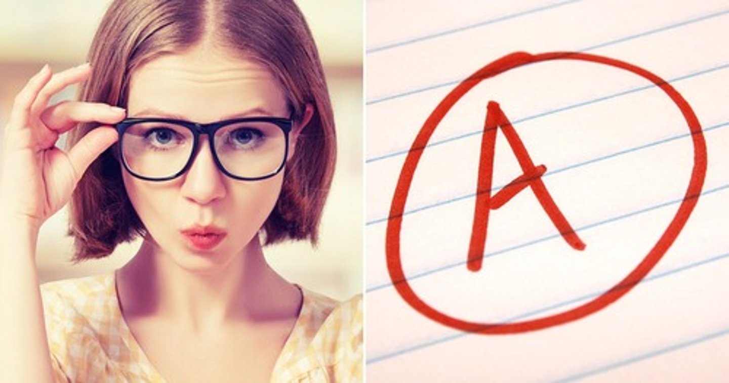 <p>a student</p>
