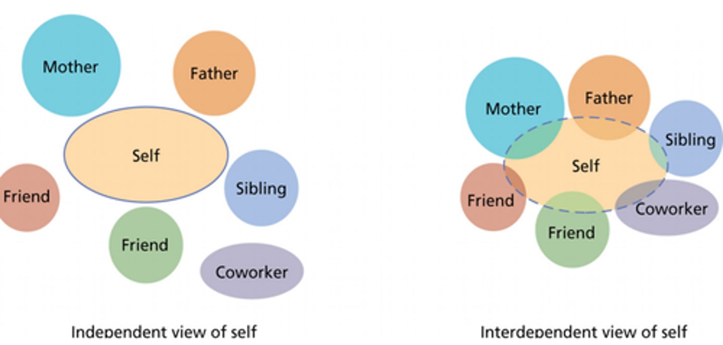 <p>Our own list of internal answers to the question "Who am I?"</p>