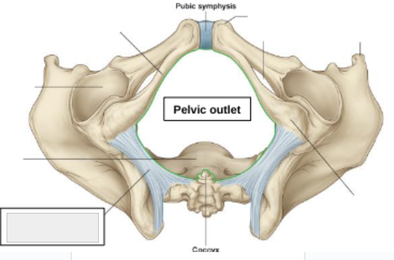 <p>what structure is that?</p>