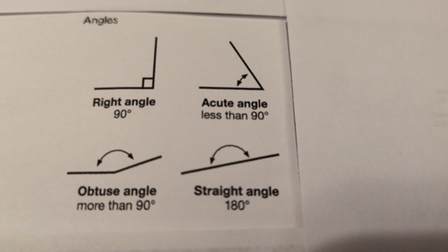 <p>2 rays joined together at a vertex</p>