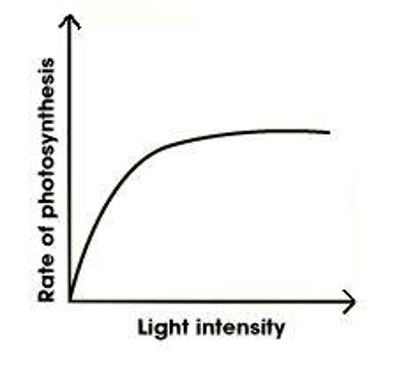 <p>Both the amount and the wavelength of light can limit the amount of photosynthesis that occurs.</p>