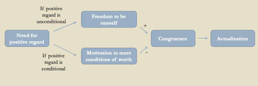 <p>Then they have motivations to meet those conditions of worth, leading to lower congruence and lower actualizing tendency  </p>