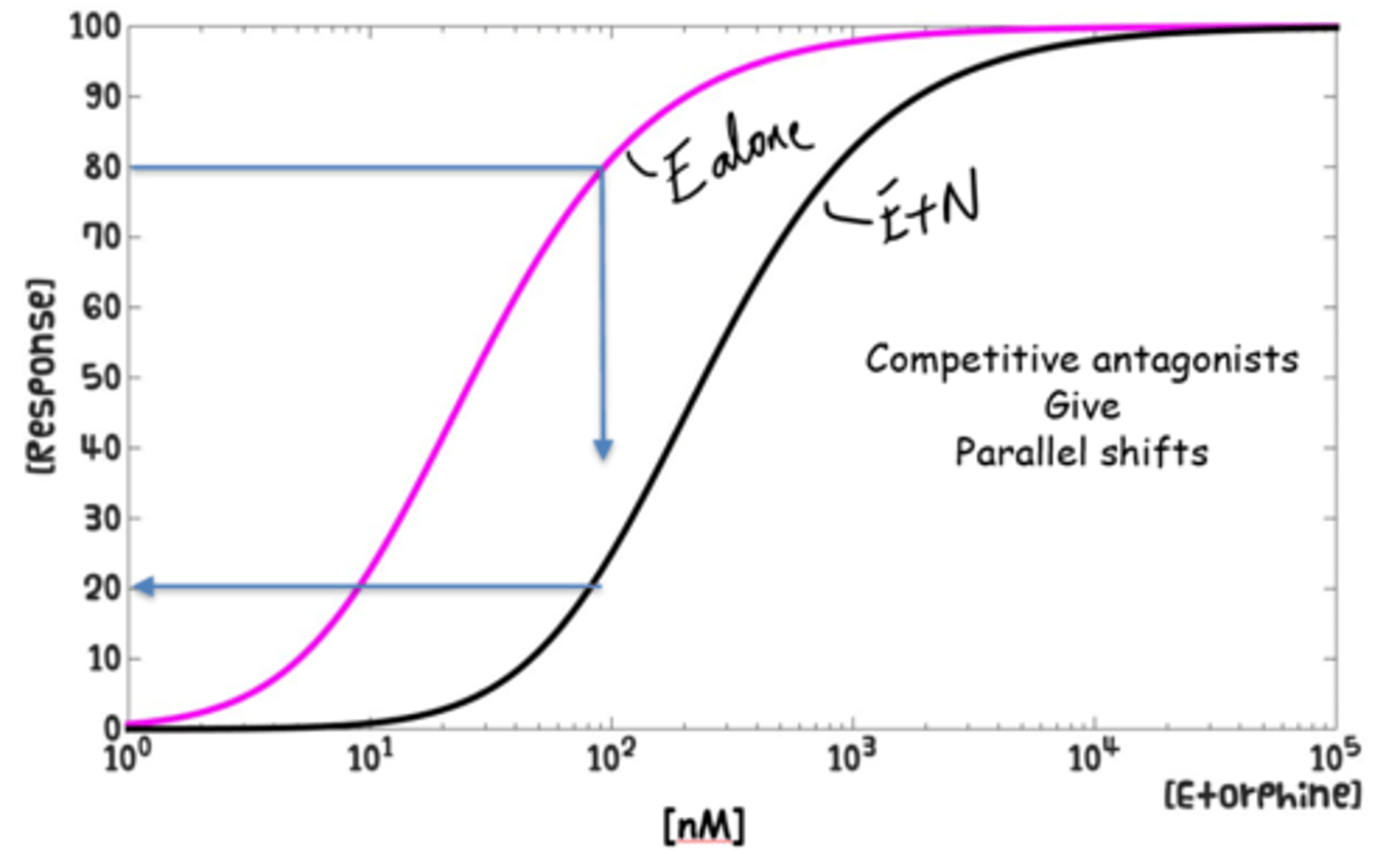 <p>Causes the original drug to reach Emax slower, but can still reach it with an increase in drug concentration as the drug outcompetes it.</p><p>-I.e. Shift the curve to the right</p>