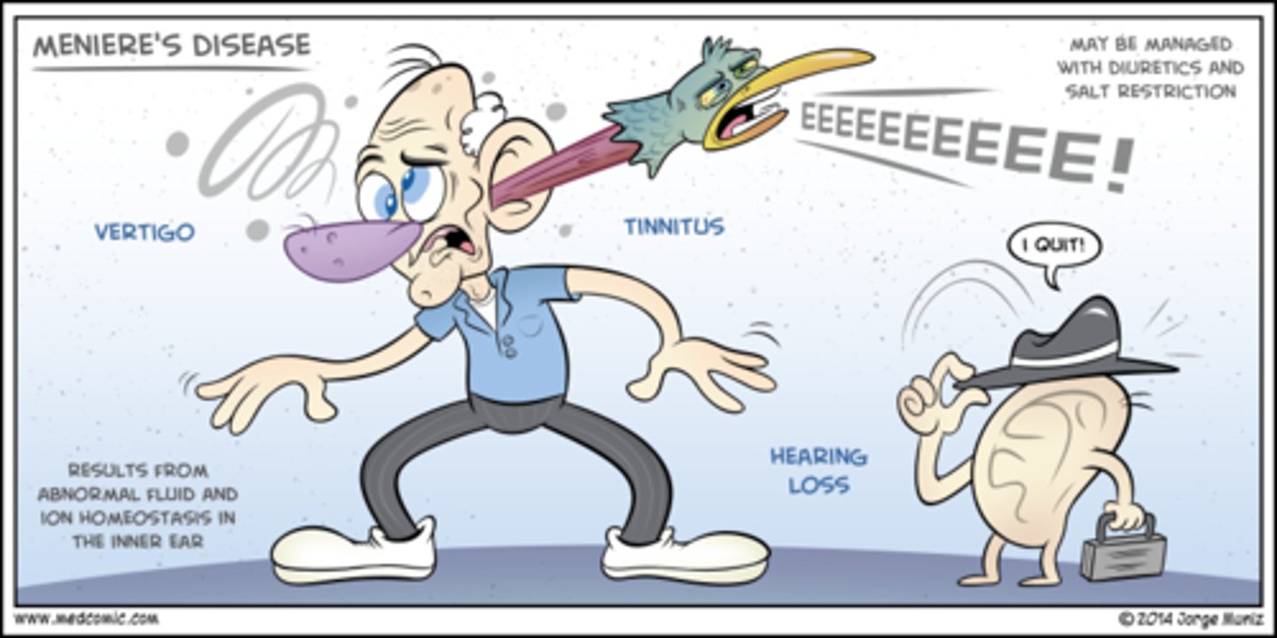 <p>endolymphatic hydrops → low Na diet and diuretics help lower pressure</p>