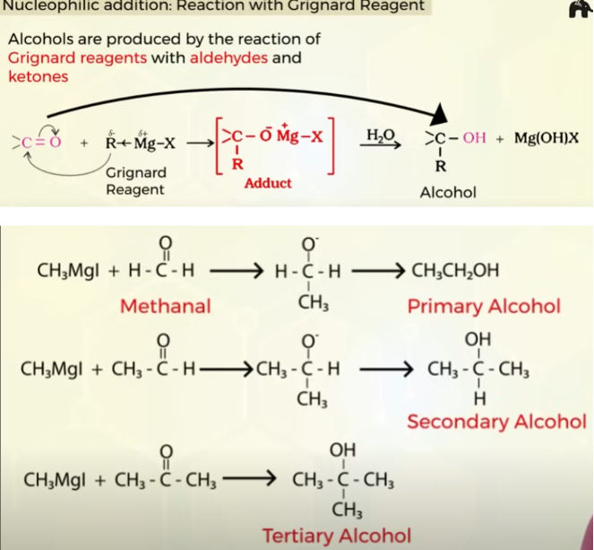 <p>alcohol formed </p>