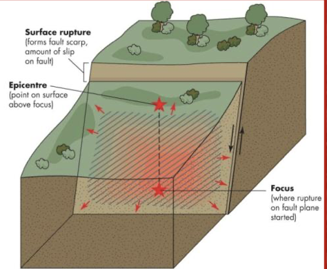 They result from the rupture of rocks along a fault.

\
Energy from an earthquake is released in the form of seismic waves.

\
They are mapped according to the epicentre; the focus is located directly below the epicentre.

* they are measured by seismographs and compared by magnitude