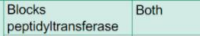 <p>ribosomal subunit: 50s<br>mode of action:<br>type of activity:</p>