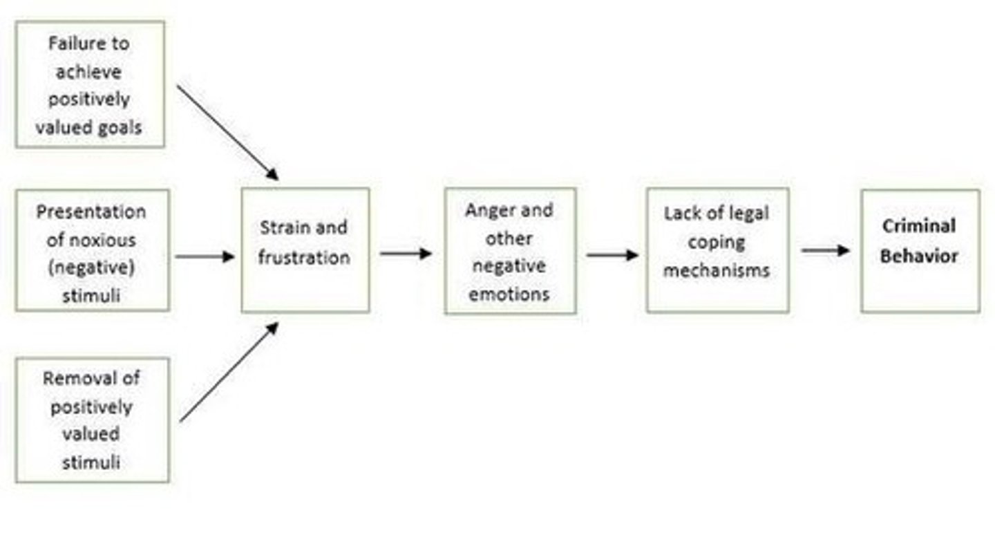 <p>Focuses on multiple sources of strain affecting behavior.</p>