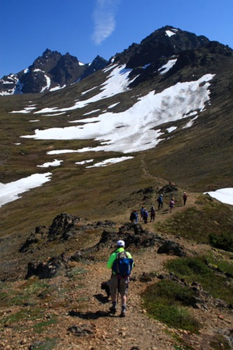 <p>to go mountain climbing</p>