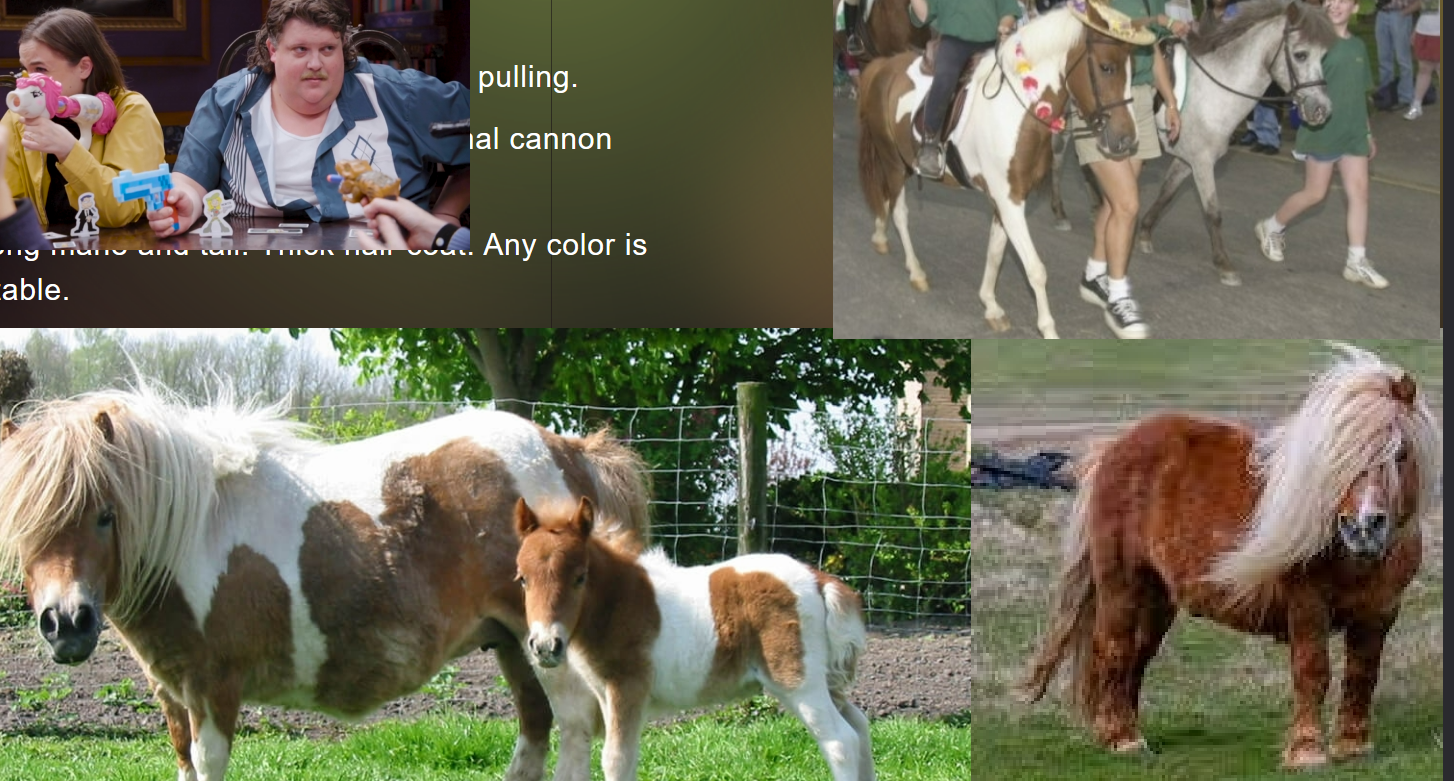 <p>Short strong legs with shorter than normal cannon</p><p>bone in relation to size.</p><p>• Very long mane and tail. Thick hair coat. Any color is</p><p>acceptable</p>