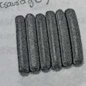 <p>the sausages</p>