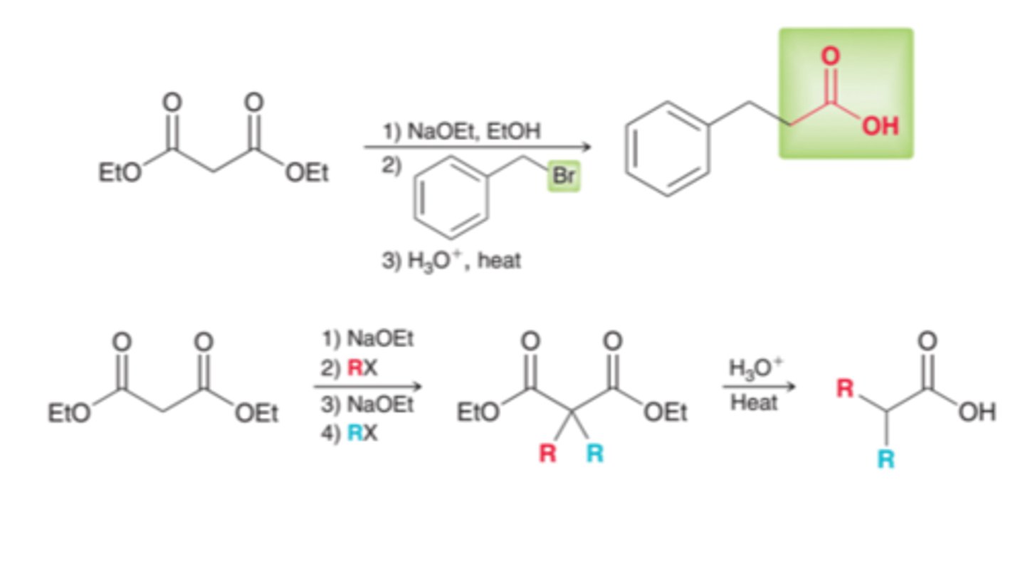 <p>enables the transformation of a halide into a carboxylic acid with the introduction of two new carbon atoms</p><p>done with diethyl malonate</p>