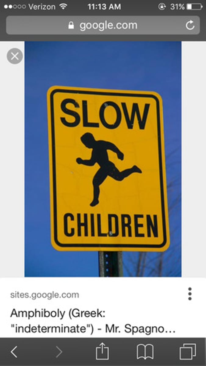 <p>an ambiguous grammatical construction</p><p>Ex. e.g., 'they are flying planes' can mean either that someone is flying planes or that something is flying planes</p>