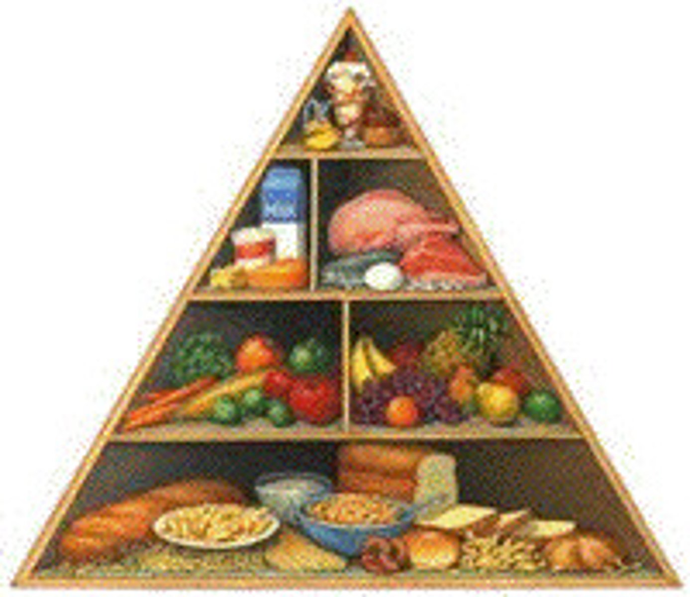 <p>nutrition</p>