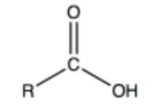 <ul><li><p>Carboxylic/organic acid</p></li><li><p>Acts as acid</p></li></ul><p></p>
