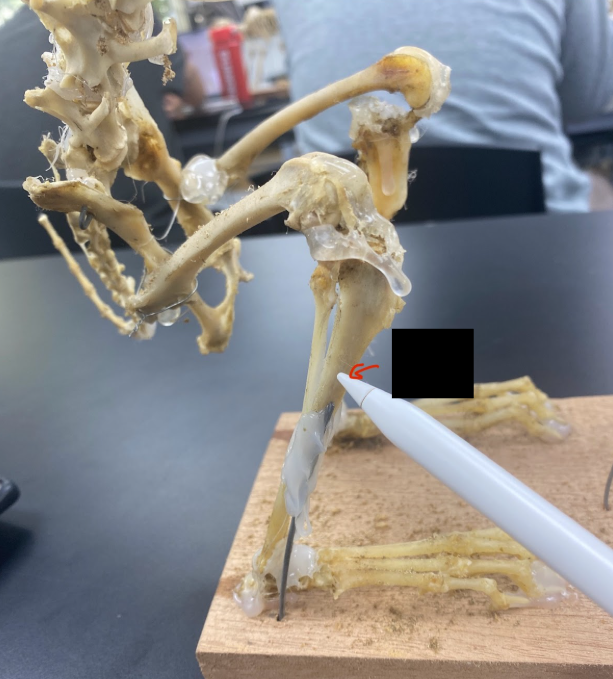 <p>What part is this&nbsp;</p>