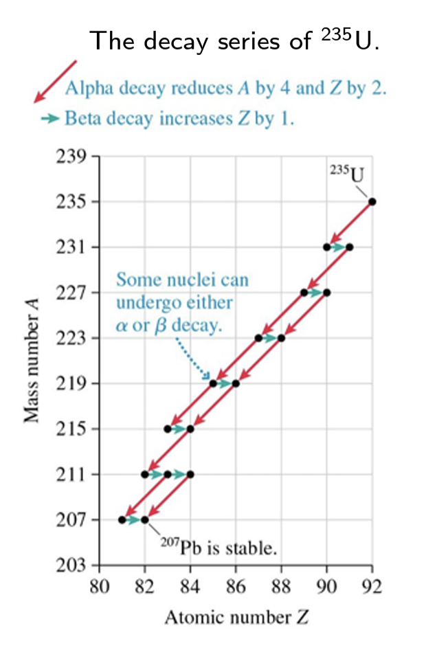 <ul><li><p>beta </p></li></ul><p></p>
