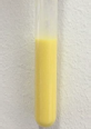 <p><strong>heavy cream hydrolysis result</strong><em> (test tube 1)</em></p>