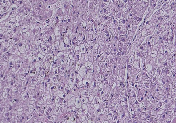 <p>what does the image show?</p>