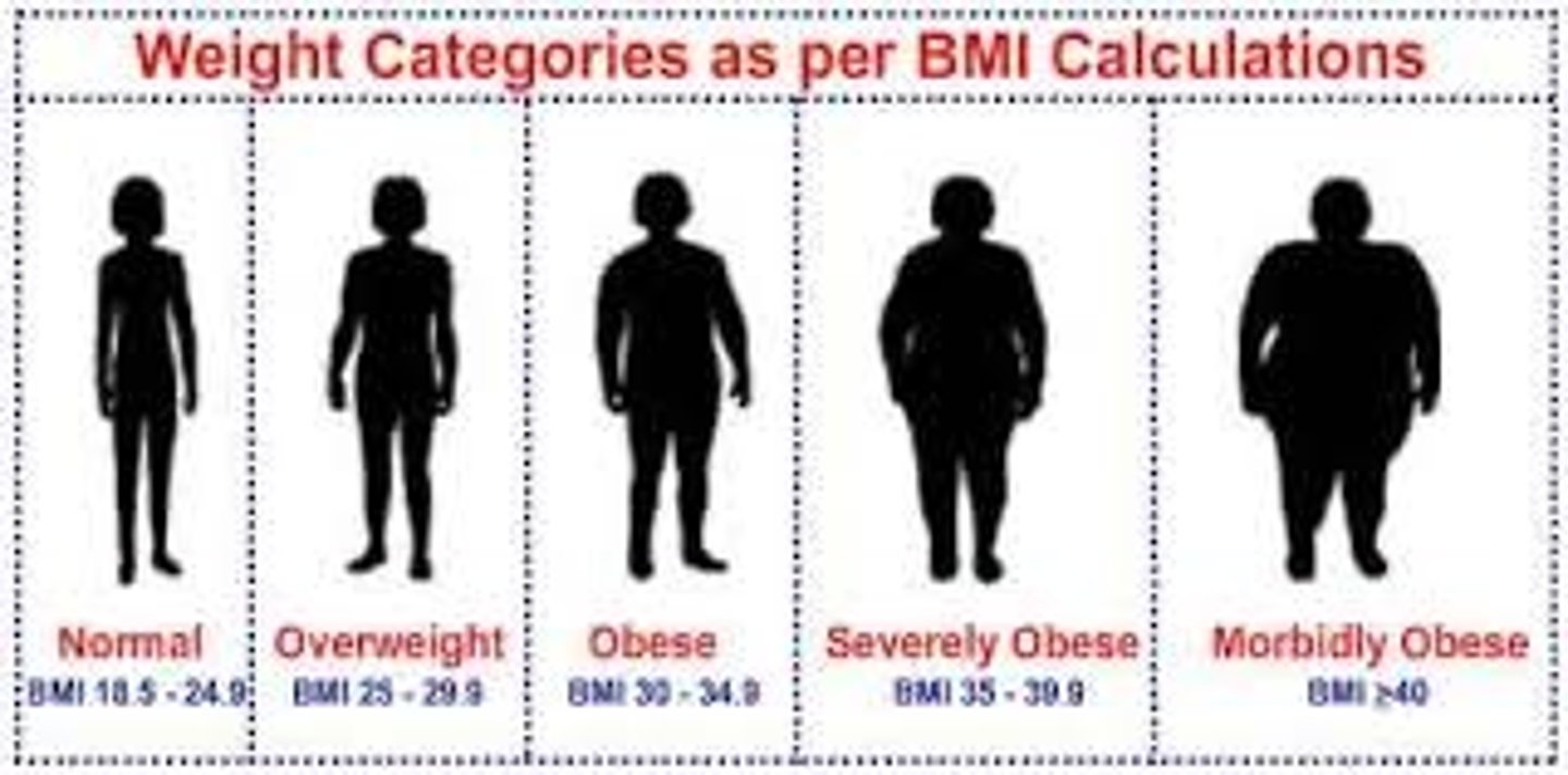 <p>A ratio of body weight to height, used to measure obesity</p>