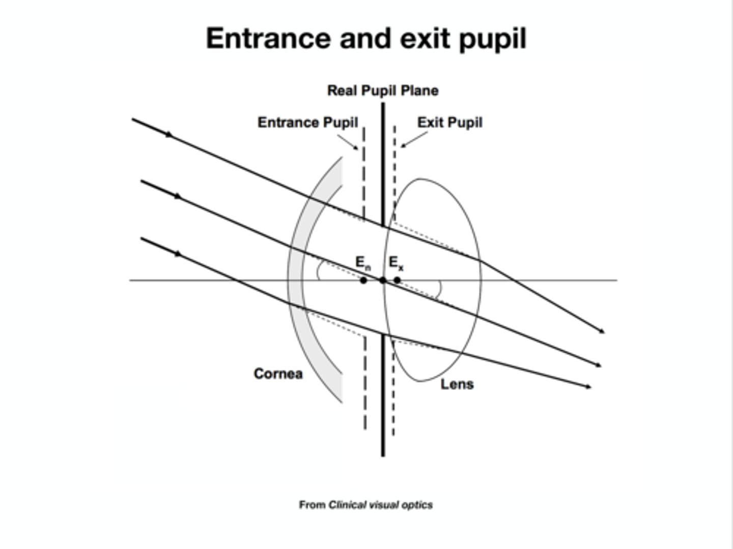 <p>appears 1.13x larger, lies in a plane 0.5mm in front of the real pupil</p>