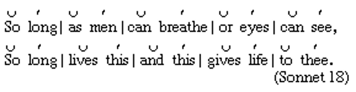 <p>A common meter in poetry consisting of an unrhymed line with five feet or accents, each foot containing an unaccented syllable and an accented syllable.</p>