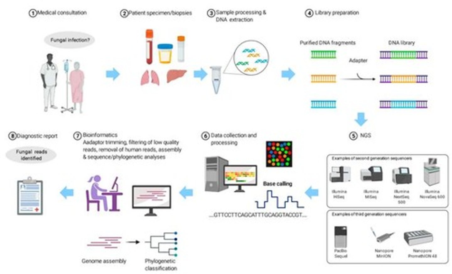 <p>NGS allows simultaneous sequencing of millions of DNA fragments.</p>