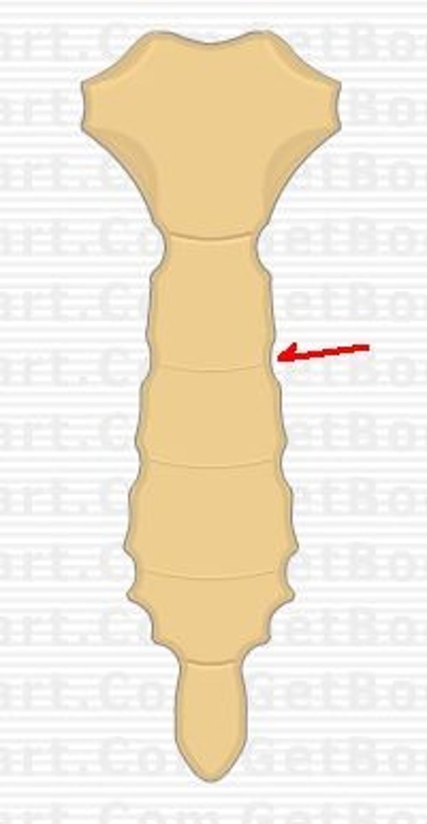 <p>7</p>