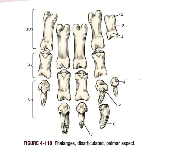 <p>2</p>