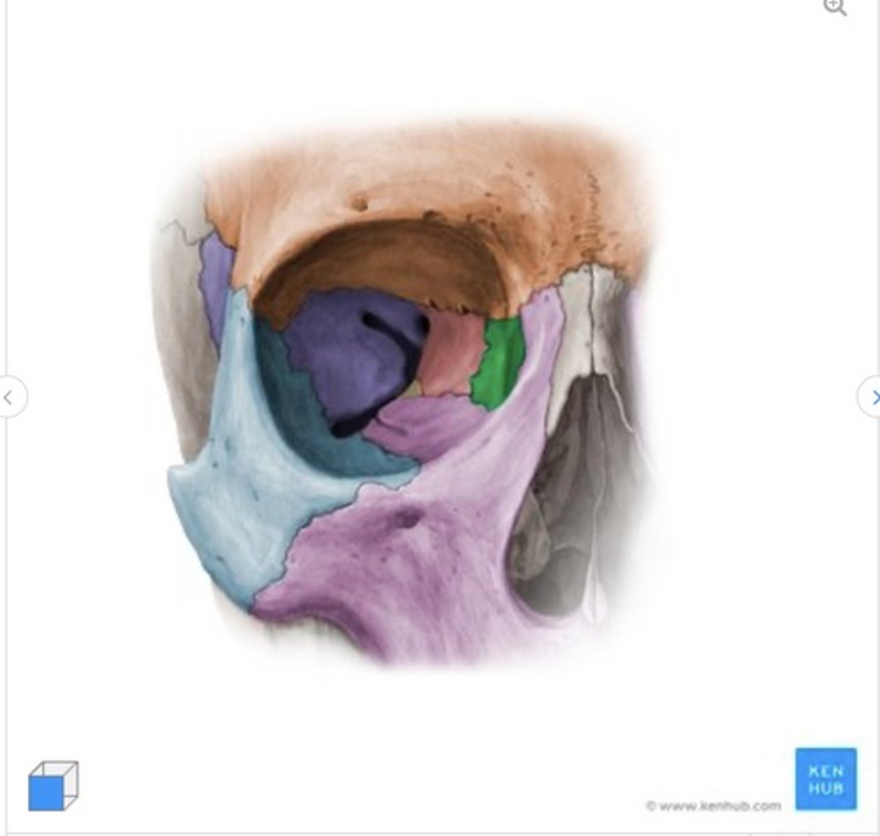 <p>what bone is this?</p>