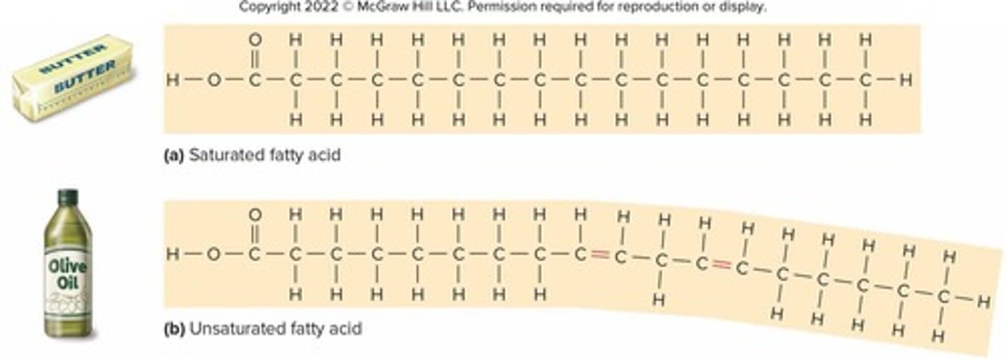 <p>A research team discovers a novel archaean in a 95°C hydrothermal vent. Which combination of molecular adaptations would they most expect to find?</p>