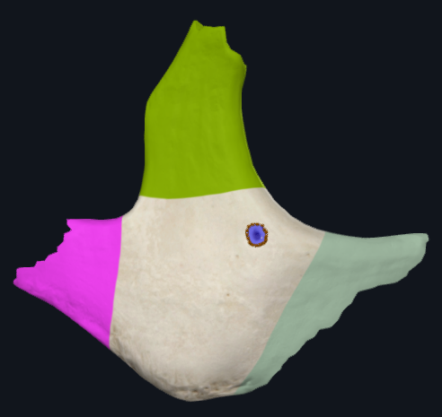 term image