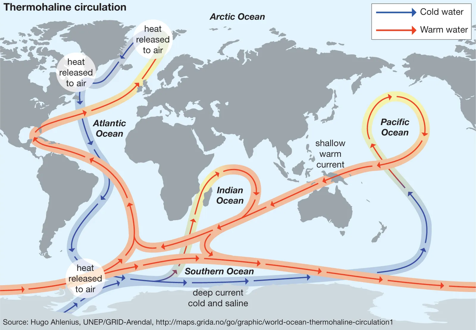 <p>Thermohaline&nbsp;circulation,&nbsp;also&nbsp;known&nbsp;as&nbsp;</p><p>the&nbsp;"global&nbsp;conveyor&nbsp;belt,"&nbsp;is&nbsp;a&nbsp;</p><p>large-scale&nbsp;ocean&nbsp;circulation&nbsp;driven&nbsp;by&nbsp;</p><p>differences&nbsp;in&nbsp;water&nbsp;temperature&nbsp;(thermo)&nbsp;</p><p>and&nbsp;salinity&nbsp;(haline).</p><ul><li><p><strong>Temperature&nbsp;and&nbsp;Salinity</strong>:&nbsp;Cold,&nbsp;salty&nbsp;water&nbsp;is&nbsp;denser&nbsp;and&nbsp;sinks,&nbsp;while&nbsp;warm,&nbsp;</p><p>less&nbsp;salty&nbsp;water&nbsp;is&nbsp;less&nbsp;dense&nbsp;and&nbsp;rises.</p></li><li><p><strong>Global&nbsp;Impact</strong>:&nbsp;This&nbsp;circulation&nbsp;helps&nbsp;regulate&nbsp;Earth's&nbsp;climate&nbsp;by&nbsp;distributing</p><p>heat&nbsp;and&nbsp;nutrients&nbsp;around&nbsp;the&nbsp;globe.</p></li><li><p><strong>Process</strong>:&nbsp;Cold,&nbsp;dense&nbsp;water&nbsp;sinks&nbsp;in&nbsp;polar&nbsp;regions&nbsp;and&nbsp;flows&nbsp;towards&nbsp;the&nbsp;equator,</p><p>while&nbsp;warm&nbsp;water&nbsp;from&nbsp;the&nbsp;equator&nbsp;moves&nbsp;towards&nbsp;the&nbsp;poles.</p></li></ul><p></p>