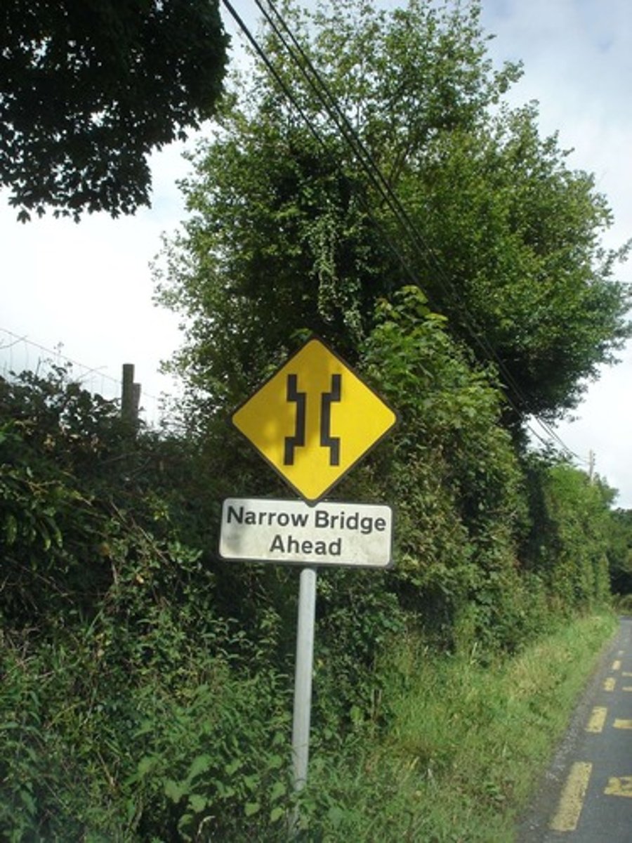 <p>It is a yellow diamond and shows that the bridge ahead is not as wide as the road. Slow down and use caution.</p>