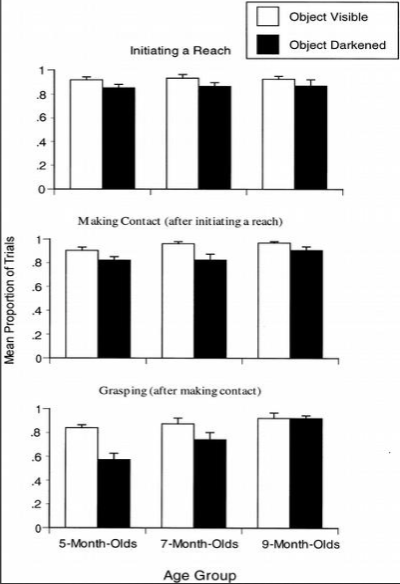 <p>tested 5,7,9 month infants in a dark room</p><p>reaching for a rod that had lights inside </p><p>on half the trials the object remained visible, on the other half of the trials the light inside the object were turned off after the infant began reaching</p><p>infants still reached for the object even though it was no longer visible </p>