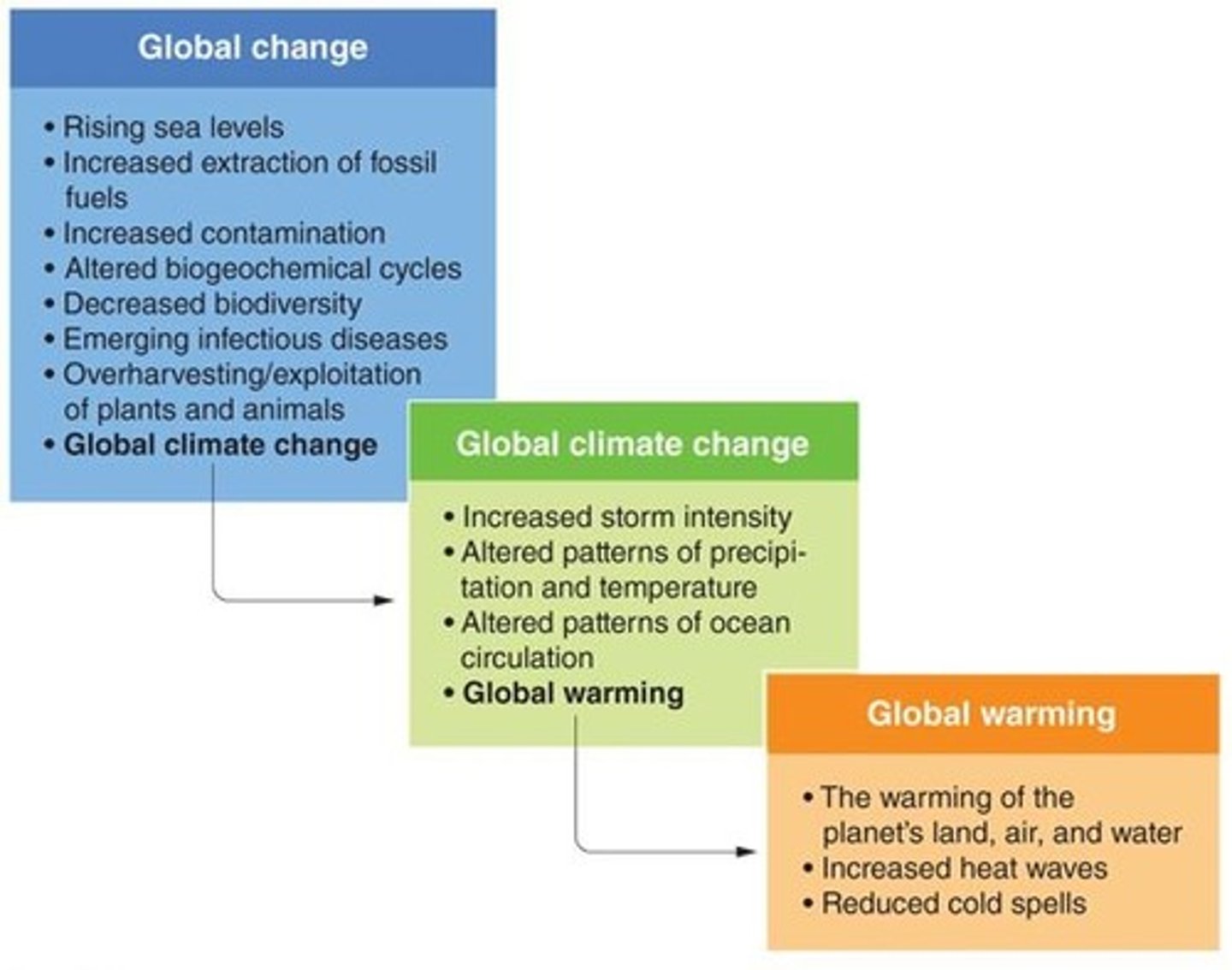 <p>The warming of the oceans, land masses, and atmosphere of Earth.</p>