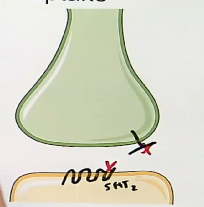 <p><span>Inhibits reuptake of serotonin presynaptically and acts as an antagonist at </span><u><span>postsynaptic 5HT</span><sub><span>2</span></sub><span> receptors</span></u></p><ul><li><p>Trazodone often used for insomnia</p></li><li><p>orthostatic hypotension is due to anti-alpha 1</p></li></ul><p></p>