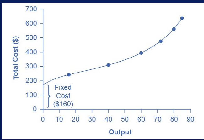 <ul><li><p>costs of the fixed inputs (e.g., capital)</p></li><li><p>don’t change in the short run, so they’re expenditures that don’t change regardless of production level</p></li><li><p>ex., once lease is signed, the rent is the same regardless of how much you produce, at least until expiration date of lease</p></li><li><p>represented by horizontal line</p></li><li><p>always show this as the vertical intercept of total cost curve; that is, they are the costs incurred when output is zero so there are no variable costs</p><ul><li><p>e.g., this is the y intercept</p></li></ul></li></ul><p></p>