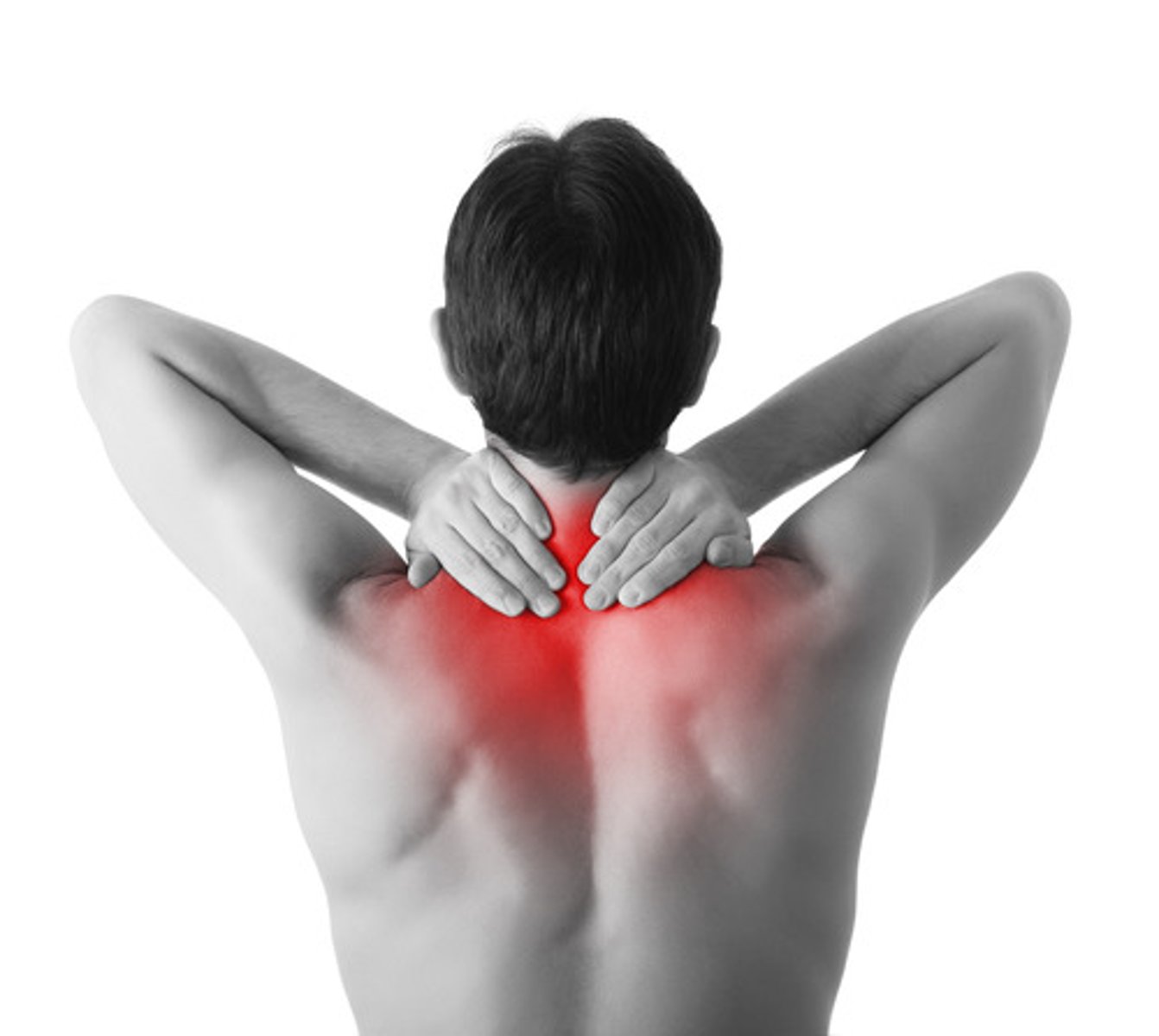 <p>pain</p>