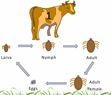 <p>What does this image show?</p>